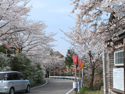 桜の里